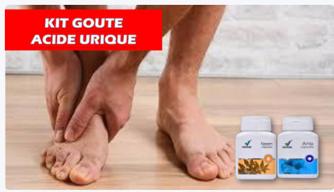Kit Goutte & Acide Urique